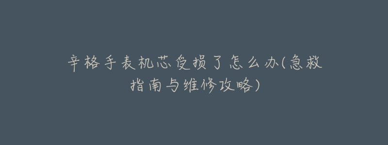 辛格手表机芯受损了怎么办(急救指南与维修攻略)-名表号 辛格手表机芯受损了怎么办(急救指南与维修攻略)