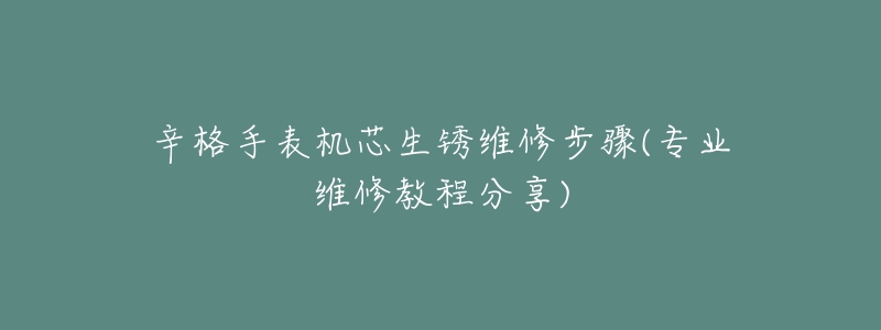 辛格手表机芯生锈维修步骤(专业维修教程分享)-名表号 辛格手表机芯生锈维修步骤(专业维修教程分享)