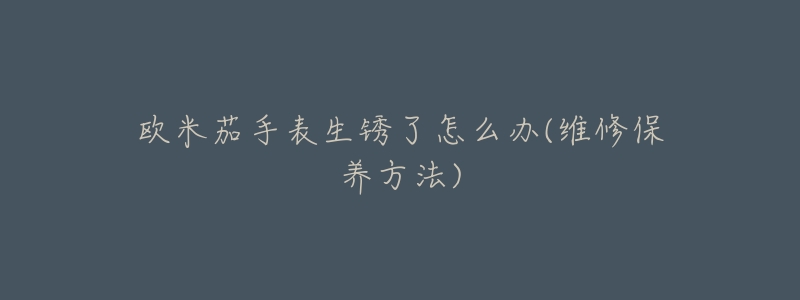 欧米茄手表生锈了怎么办(维修保养方法)-名表号 欧米茄手表生锈了怎么办(维修保养方法)
