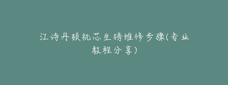江诗丹顿机芯生锈维修步骤(专业教程分享)-名表号 江诗丹顿机芯生锈维修步骤(专业教程分享)