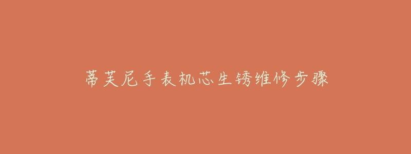 蒂芙尼手表机芯生锈维修步骤