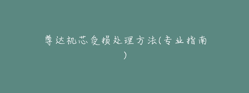 尊达机芯受损处理方法(专业指南)-名表号 尊达机芯受损处理方法(专业指南)