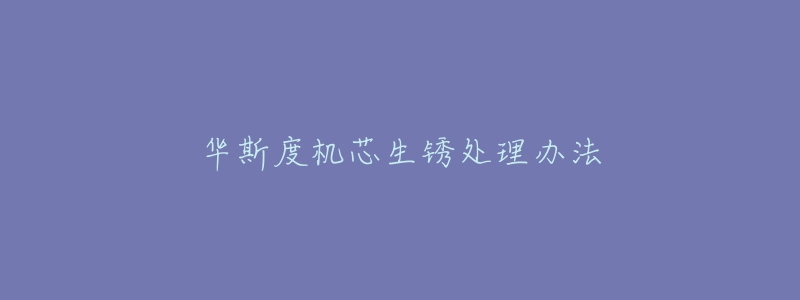 华斯度机芯生锈处理办法-名表号 华斯度机芯生锈处理办法