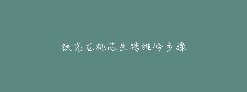 铁克龙机芯生锈维修步骤-名表号 铁克龙机芯生锈维修步骤