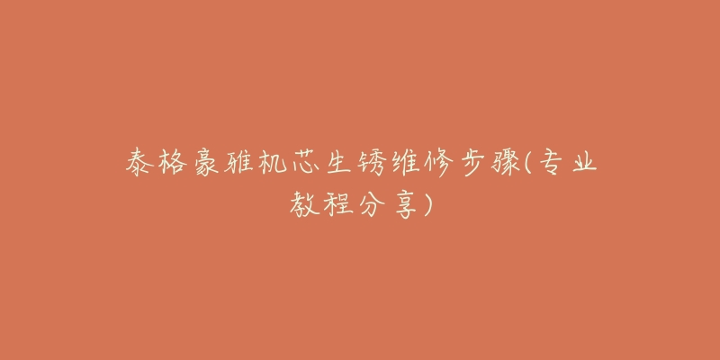 泰格豪雅机芯生锈维修步骤(专业教程分享)-名表号 泰格豪雅机芯生锈维修步骤(专业教程分享)