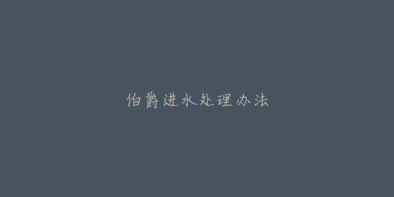 伯爵进水处理办法-名表号 伯爵进水处理办法