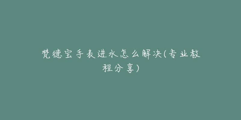 梵德宝手表进水怎么解决(专业教程分享)