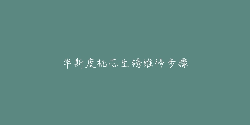 华斯度机芯生锈维修步骤-名表号 华斯度机芯生锈维修步骤