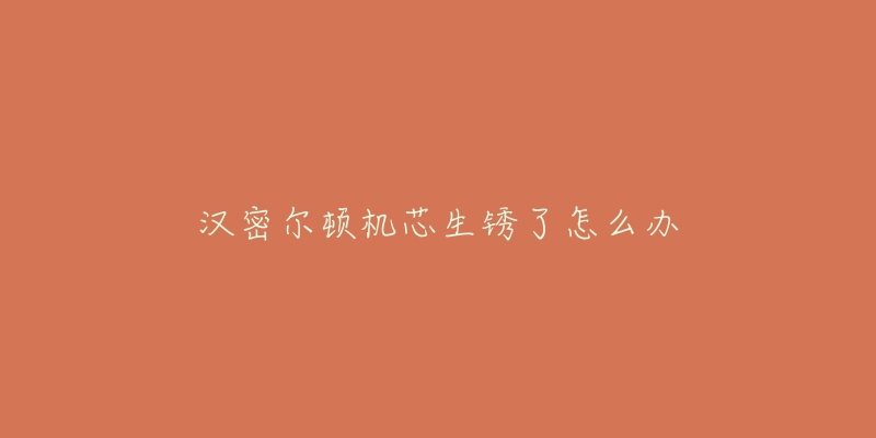 汉密尔顿机芯生锈了怎么办-名表号 汉密尔顿机芯生锈了怎么办