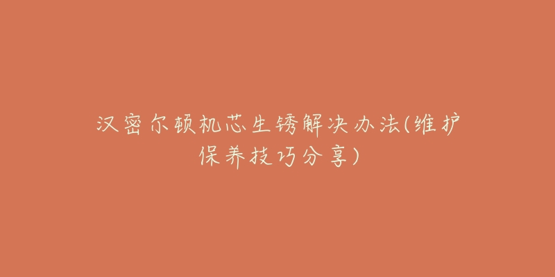 汉密尔顿机芯生锈解决办法(维护保养技巧分享)-名表号 汉密尔顿机芯生锈解决办法(维护保养技巧分享)
