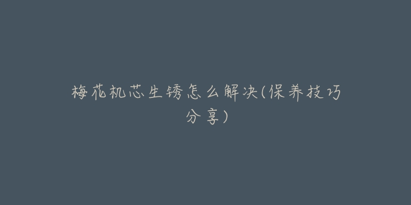 梅花机芯生锈怎么解决(保养技巧分享)-名表号 梅花机芯生锈怎么解决(保养技巧分享)