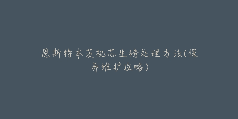 恩斯特本茨机芯生锈处理方法(保养维护攻略)-名表号 恩斯特本茨机芯生锈处理方法(保养维护攻略)