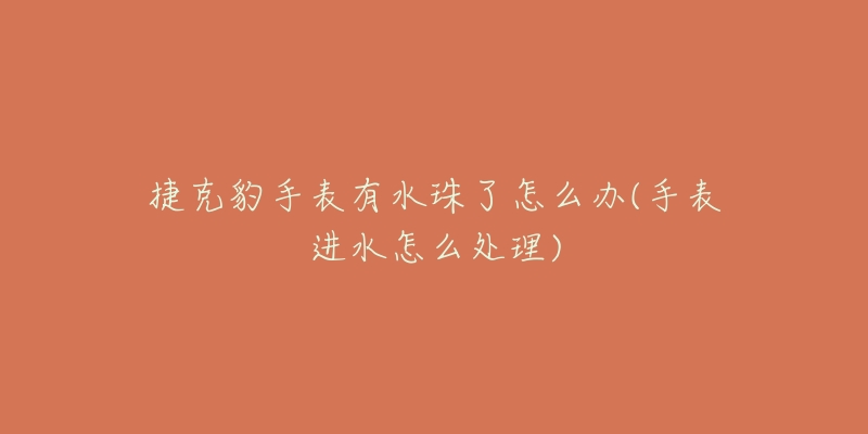 捷克豹手表有水珠了怎么办(手表进水怎么处理)-名表号 捷克豹手表有水珠了怎么办(手表进水怎么处理)