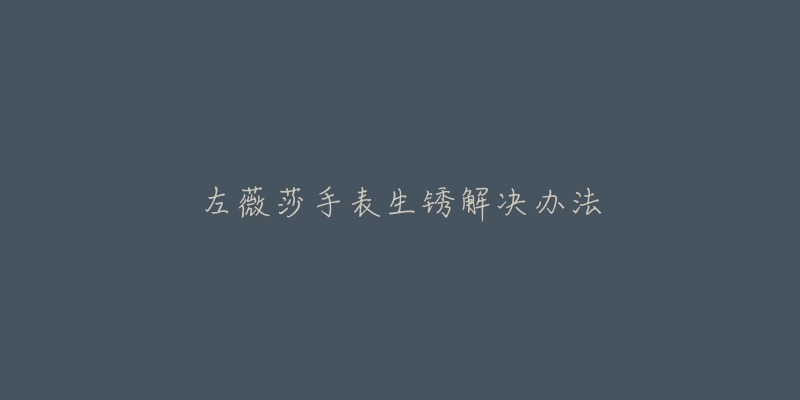 左薇莎手表生锈解决办法-名表号 左薇莎手表生锈解决办法