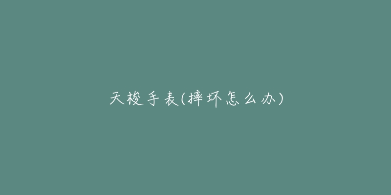 天梭手表(摔坏怎么办)-名表号 天梭手表(摔坏怎么办)