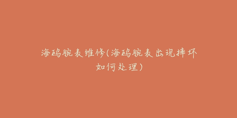 海鸥腕表维修(海鸥腕表出现摔坏如何处理)-名表号 海鸥腕表维修(海鸥腕表出现摔坏如何处理)