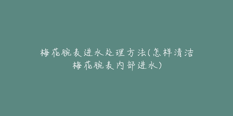 梅花腕表进水处理方法(怎样清洁梅花腕表内部进水)-名表号 梅花腕表进水处理方法(怎样清洁梅花腕表内部进水)