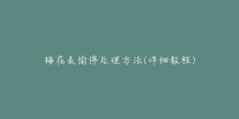 梅花表偷停处理方法(详细教程)-名表号 梅花表偷停处理方法(详细教程)