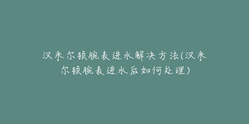 汉米尔顿腕表进水解决方法(汉米尔顿腕表进水后如何处理)