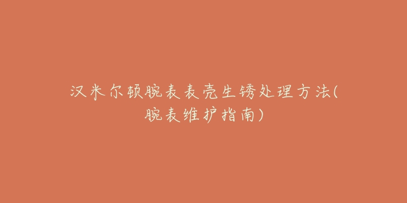 汉米尔顿腕表表壳生锈处理方法(腕表维护指南)