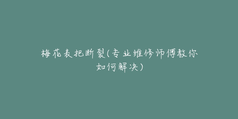 梅花表把断裂(专业维修师傅教你如何解决)-名表号 梅花表把断裂(专业维修师傅教你如何解决)