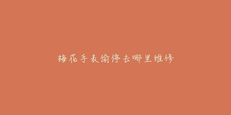 梅花手表偷停去哪里维修