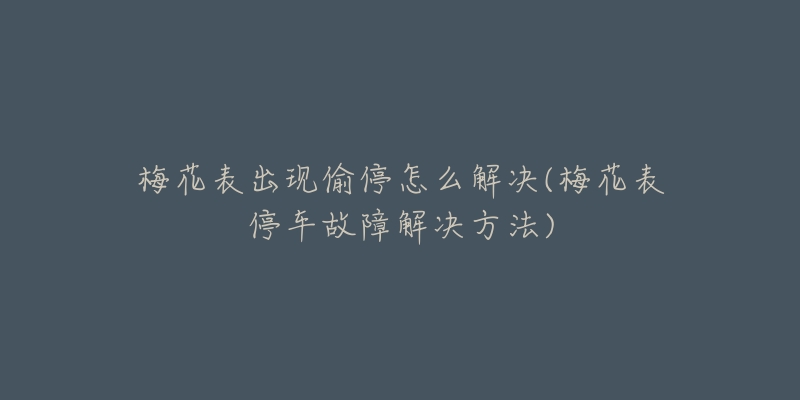 梅花表出现偷停怎么解决(梅花表停车故障解决方法)-名表号 梅花表出现偷停怎么解决(梅花表停车故障解决方法)