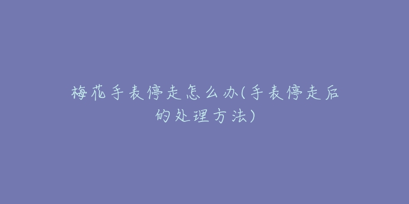 梅花手表停走怎么办(手表停走后的处理方法)-名表号 梅花手表停走怎么办(手表停走后的处理方法)