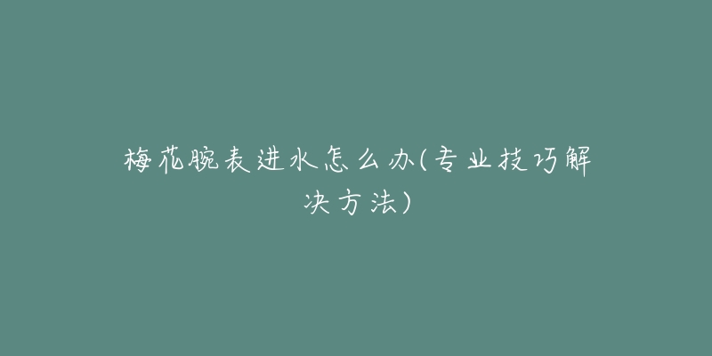 梅花腕表进水怎么办(专业技巧解决方法)-名表号 梅花腕表进水怎么办(专业技巧解决方法)