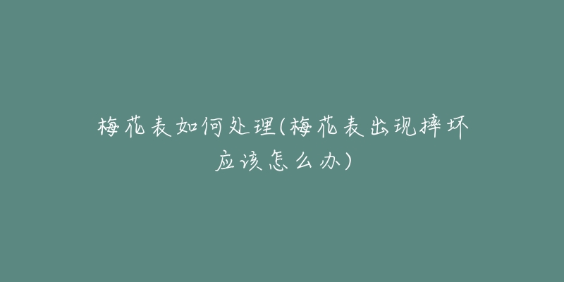 梅花表如何处理(梅花表出现摔坏应该怎么办)-名表号 梅花表如何处理(梅花表出现摔坏应该怎么办)