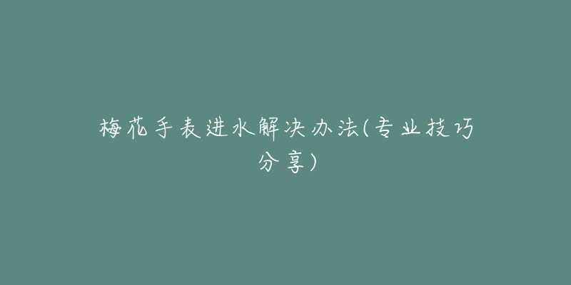 梅花手表进水解决办法(专业技巧分享)-名表号 梅花手表进水解决办法(专业技巧分享)