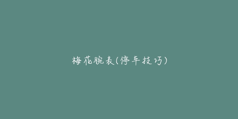 梅花腕表(停车技巧)-名表号 梅花腕表(停车技巧)