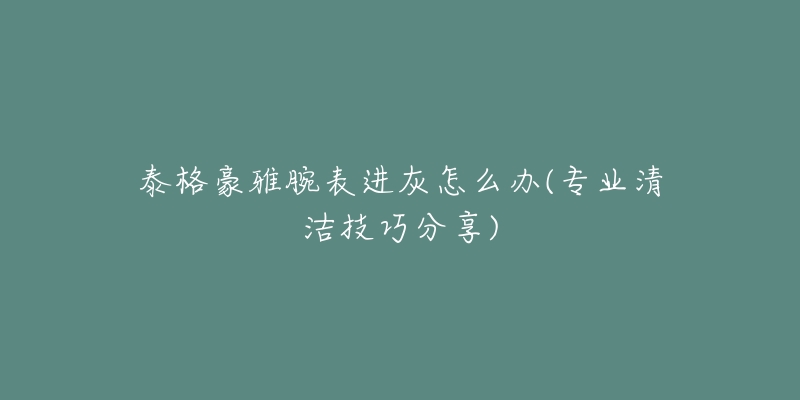 泰格豪雅腕表进灰怎么办(专业清洁技巧分享)