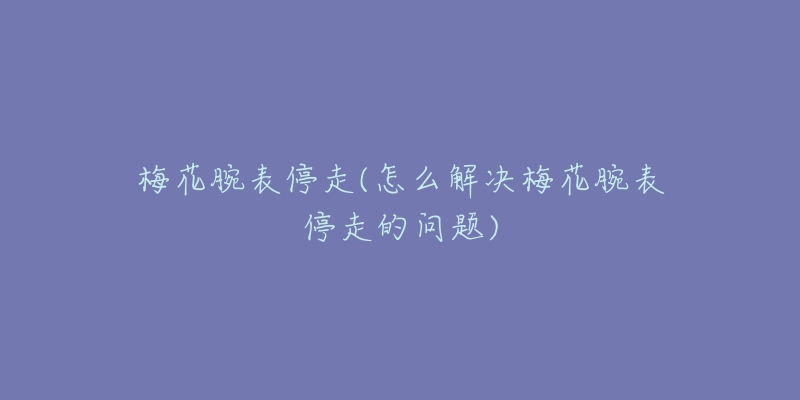梅花腕表停走(怎么解决梅花腕表停走的问题)