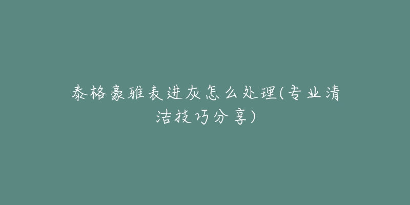 泰格豪雅表进灰怎么处理(专业清洁技巧分享)-名表号 泰格豪雅表进灰怎么处理(专业清洁技巧分享)