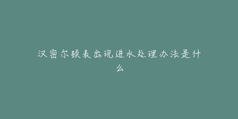 汉密尔顿表出现进水处理办法是什么-名表号 汉密尔顿表出现进水处理办法是什么
