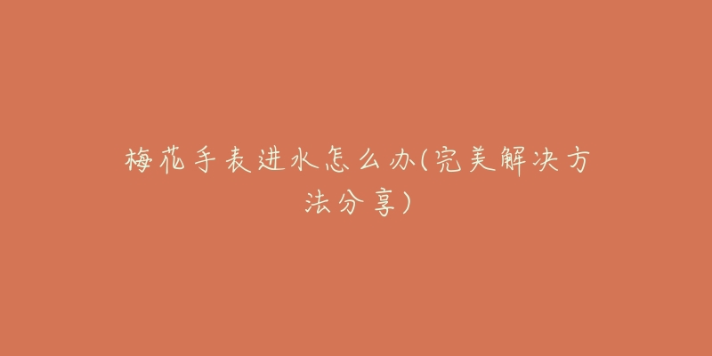 梅花手表进水怎么办(完美解决方法分享)-名表号 梅花手表进水怎么办(完美解决方法分享)