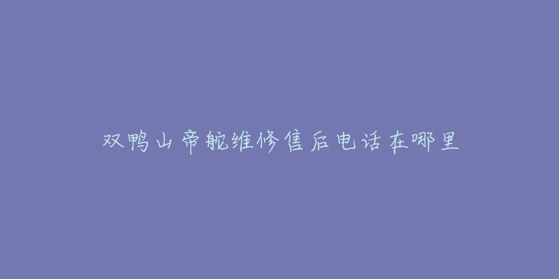 双鸭山帝舵维修售后电话在哪里