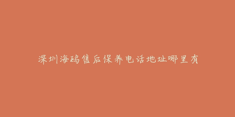 深圳海鸥售后保养电话地址哪里有-名表号 深圳海鸥售后保养电话地址哪里有