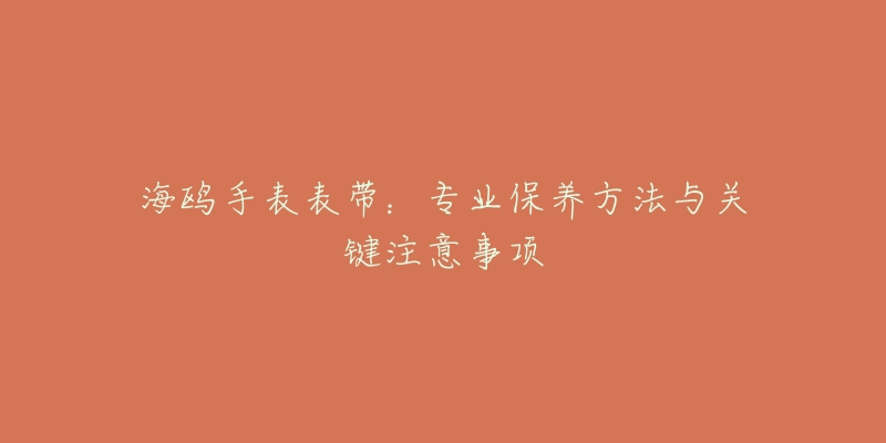 海鸥手表表带:专业保养方法与关键注意事项-名表号 海鸥手表表带:专业保养方法与关键注意事项
