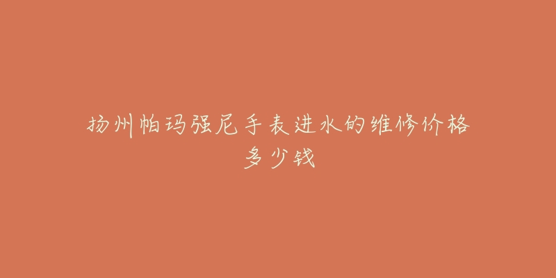 扬州帕玛强尼手表进水的维修价格多少钱