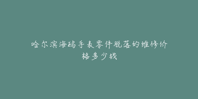 哈尔滨海鸥手表零件脱落的维修价格多少钱-名表号 哈尔滨海鸥手表零件脱落的维修价格多少钱