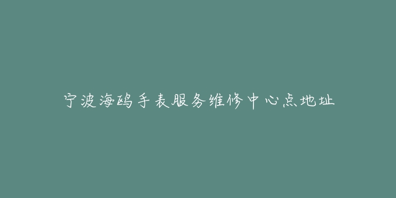 宁波海鸥手表服务维修中心点地址