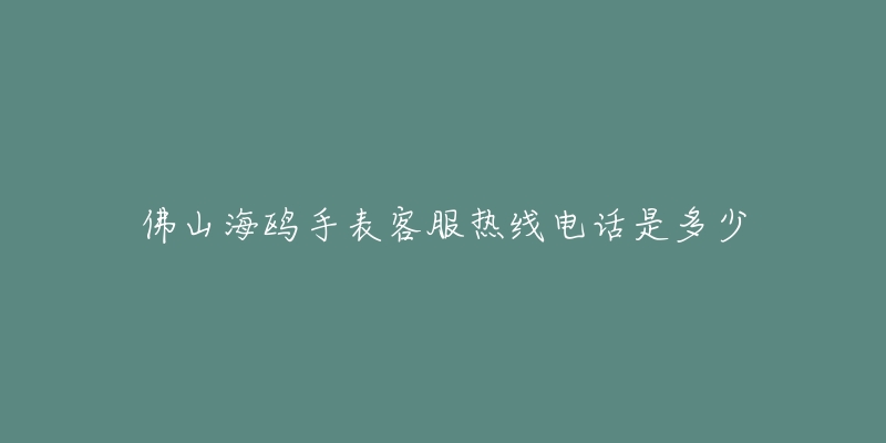 佛山海鸥手表客服热线电话是多少-名表号 佛山海鸥手表客服热线电话是多少